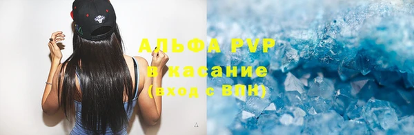 крисы Белокуриха