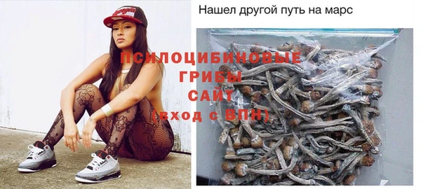 бутират Богородицк