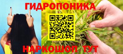 прущие грибы Краснокаменск